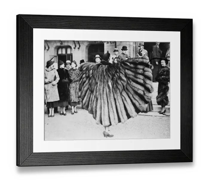 Framed Print : New fur models for winter - novel wing effect. A novel wing effect given Framed Print : New fur models for winter - novel wing effect. A novel wing effect given