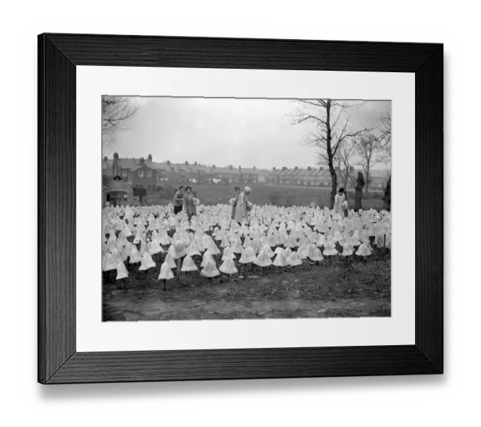 Framed Print : Panama Hat making at Messrs I. Cambis at Boreham Wood, Elstree. Hats on pegs Framed Print : Panama Hat making at Messrs I. Cambis at Boreham Wood, Elstree. Hats on pegs