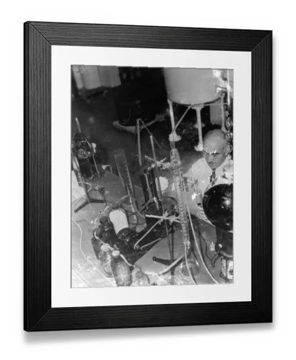 Framed Print : Dr A T Frascati an American scientist. Making perfume from crushed fruit. Photo shows