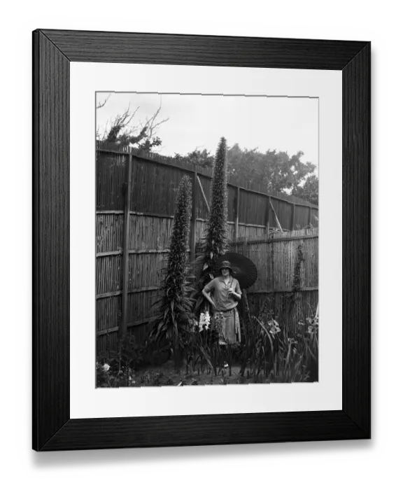 Framed Print : On her Channel Island home on Jethou, Mrs Compton Mackenzie and some fine echium Framed Print : On her Channel Island home on Jethou, Mrs Compton Mackenzie and some fine echium