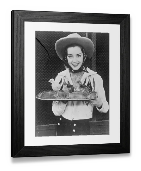 Framed Print : Peacocks former Hollywood latest delicacy. Hollywood, famous for its weird notions Framed Print : Peacocks former Hollywood latest delicacy. Hollywood, famous for its weird notions