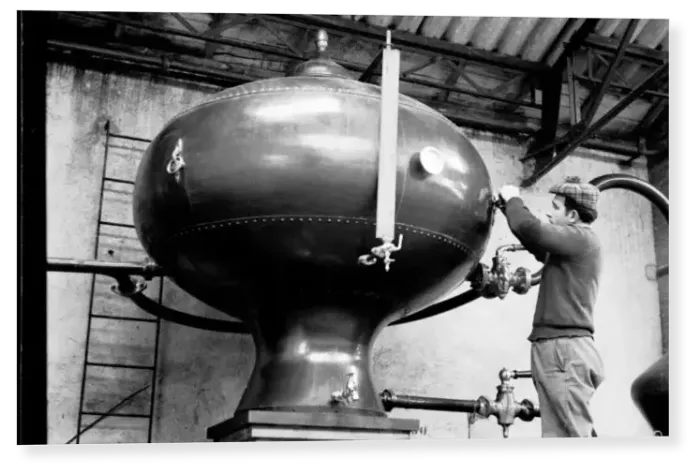Print : French distillery worker checking the still at a brandy distillery in Cognac, Charente Print : French distillery worker checking the still at a brandy distillery in Cognac, Charente