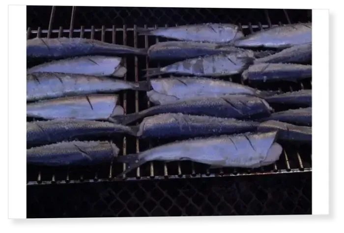 Print : Herring salted and ready for grilling on a barbecue at the annual open-air herring Print : Herring salted and ready for grilling on a barbecue at the annual open-air herring
