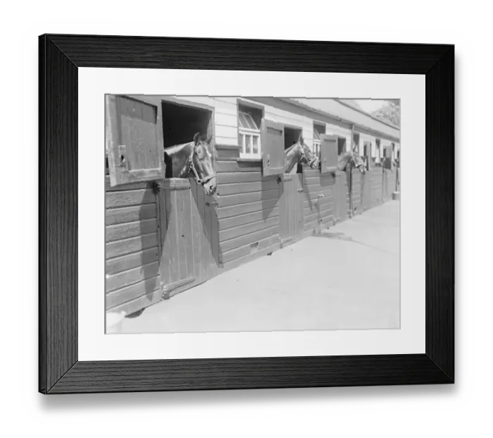 Framed Print : Polo pony show at The Hurlingham Club, London
