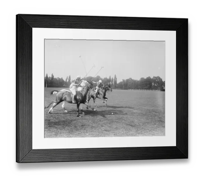 Framed Print : Polo pony show at The Hurlingham Club, London - A Chase for the ball 7 June 1920