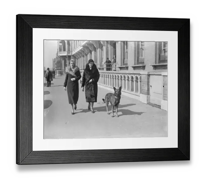 Framed Print : Mrs Charles Sweeney out for first time in Brighton, after her illness. 28 March 1934 Framed Print : Mrs Charles Sweeney out for first time in Brighton, after her illness. 28 March 1934