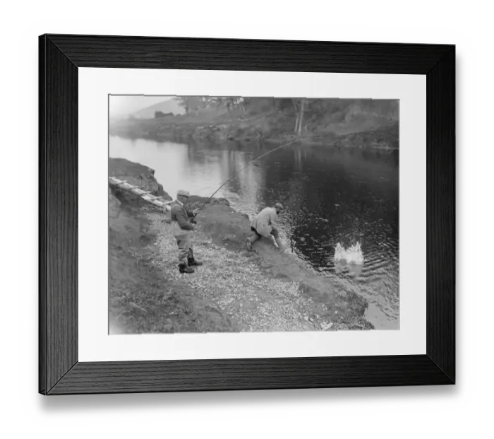 Framed Print : Salmon fishing at Symonds Yat Framed Print : Salmon fishing at Symonds Yat