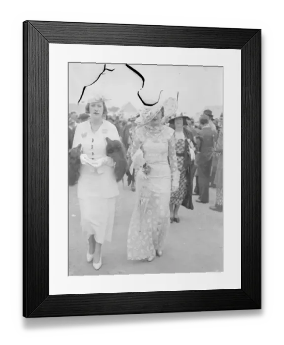 Framed Print : The biggest at Ascot. An outsized hat worn by a women racegoer as she left Waterloo for Ascot