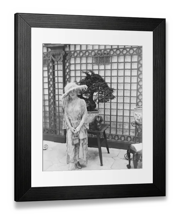 Framed Print : Society garden party at Lady Hultons residence. Lady Alexander and her pet dog Framed Print : Society garden party at Lady Hultons residence. Lady Alexander and her pet dog