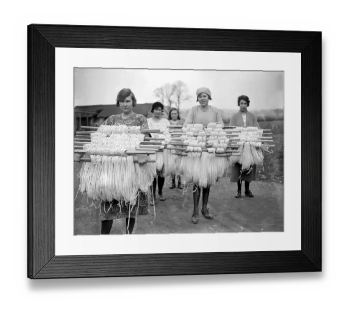 Framed Print : Panama Hat making at Messrs I. Cambis at Boreham Wood, Elstree. Carrying skins Framed Print : Panama Hat making at Messrs I. Cambis at Boreham Wood, Elstree. Carrying skins