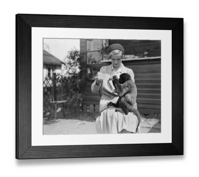 Framed Print : Strange Pals A parrot and a monkey are inseparable pals, pets belonging Miss Doris Edwards Framed Print : Strange Pals A parrot and a monkey are inseparable pals, pets belonging Miss Doris Edwards