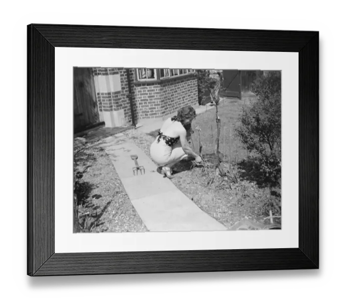 Framed Print : A women in beachwear caching some sun whilst doing the gardening. 1939 Framed Print : A women in beachwear caching some sun whilst doing the gardening. 1939
