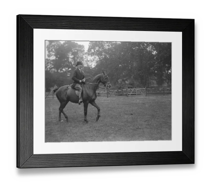 Framed Print : Polo pony show at The Hurlingham Club, London - Lieutenant General J Vaughan Framed Print : Polo pony show at The Hurlingham Club, London - Lieutenant General J Vaughan