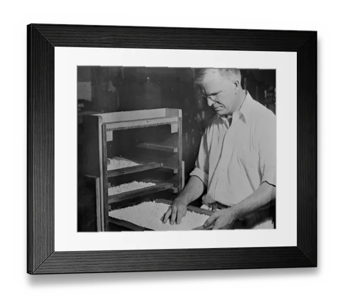 Framed Print : Wool made from milk Synthetic wool fibres. Having practically the same chemical composition as wool Framed Print : Wool made from milk Synthetic wool fibres. Having practically the same chemical composition as wool