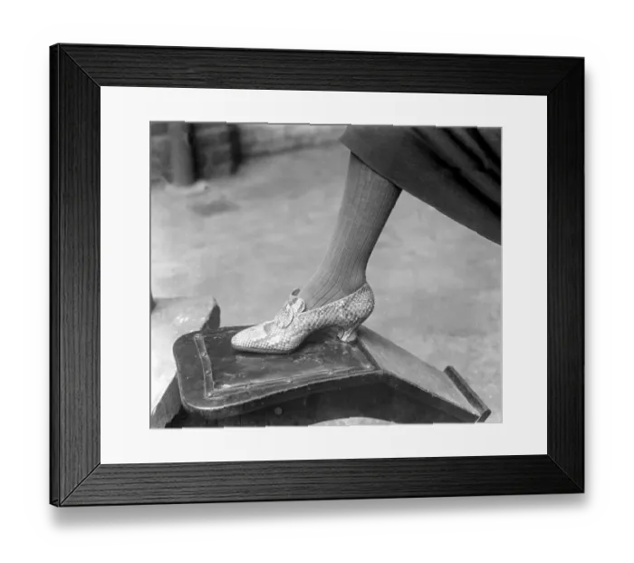 Framed Print : Fish and snake skins used for fashionable shoes at Gerrett and sons. 19 September 1925 Framed Print : Fish and snake skins used for fashionable shoes at Gerrett and sons. 19 September 1925