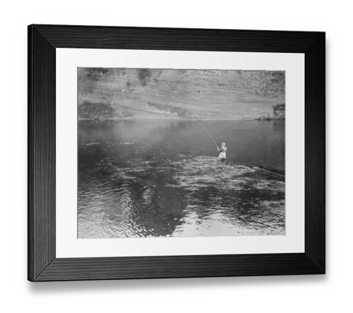 Framed Print : Salmon fishing at Symonds Yat Framed Print : Salmon fishing at Symonds Yat