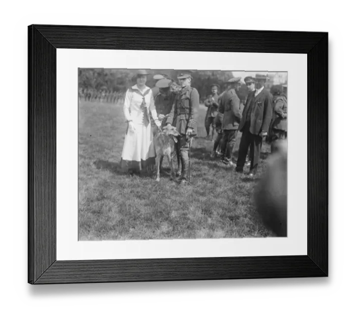 Framed Print : Mlle Delysia presents a mascot to the 6th City of London Regiment at Regents Park Framed Print : Mlle Delysia presents a mascot to the 6th City of London Regiment at Regents Park