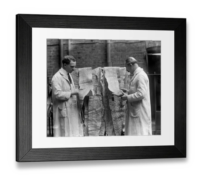 Framed Print : Fish and snake skins used for fashionable shoes at Gerrett and sons. 19 September 1925 Framed Print : Fish and snake skins used for fashionable shoes at Gerrett and sons. 19 September 1925