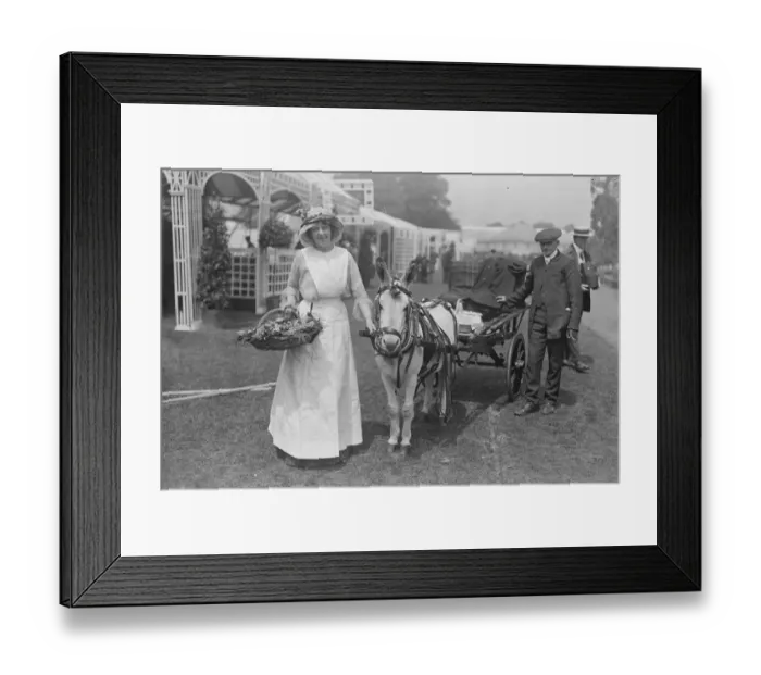 Framed Print : At the Theatrical Garden Party held at the Botanical Gardens Marie Lohr ( 28 July