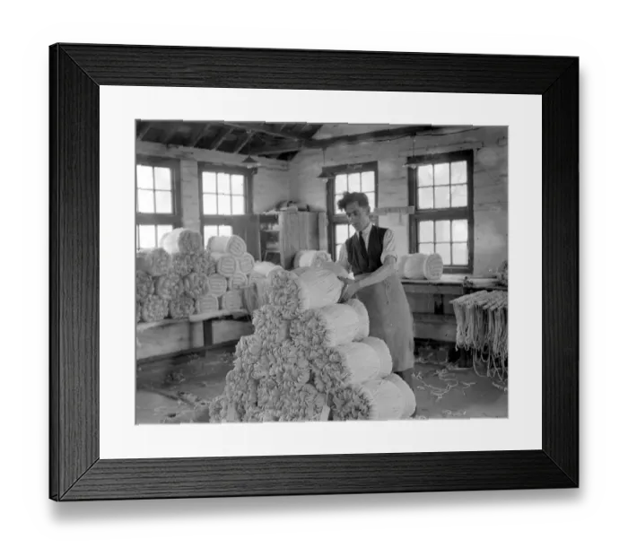 Framed Print : Panama Hat making at Messrs I. Cambis at Boreham Wood, Elstree. Tying bundles Framed Print : Panama Hat making at Messrs I. Cambis at Boreham Wood, Elstree. Tying bundles