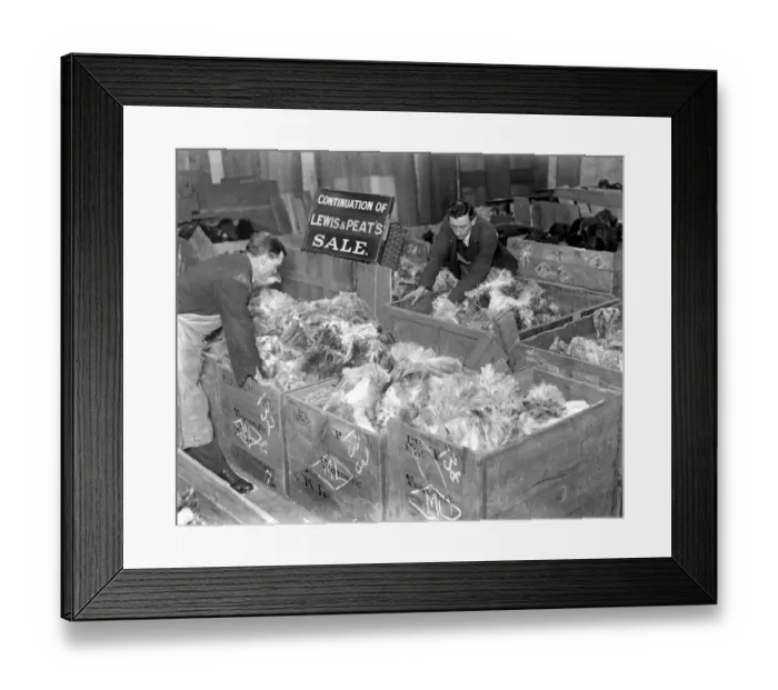 Framed Print : £170, 000 worth of feathers. In Mincing Lane there will be talk of White Spads Byokis