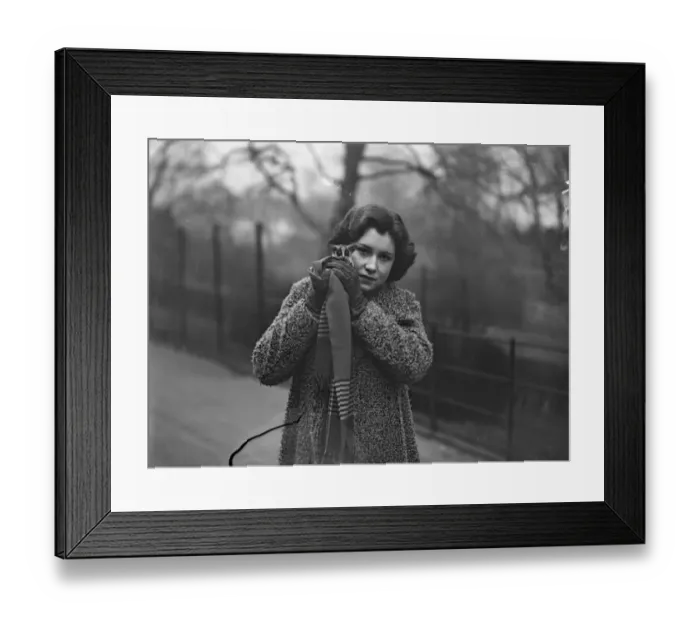 Framed Print : Koala feels the cold. A large eyed Koala ( bush baby ), recently born in the London Zoo Framed Print : Koala feels the cold. A large eyed Koala ( bush baby ), recently born in the London Zoo
