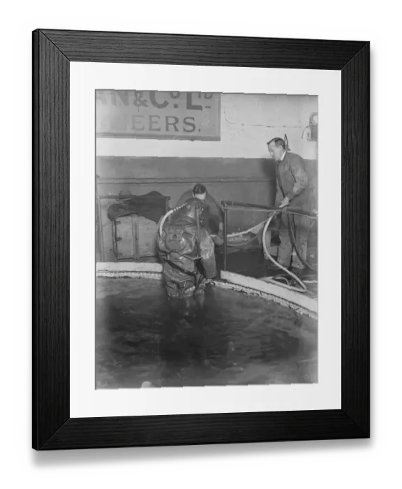 Framed Print : Demonstration of divers at work at Siebe. Gorman and Cos tanks at Westminster Framed Print : Demonstration of divers at work at Siebe. Gorman and Cos tanks at Westminster