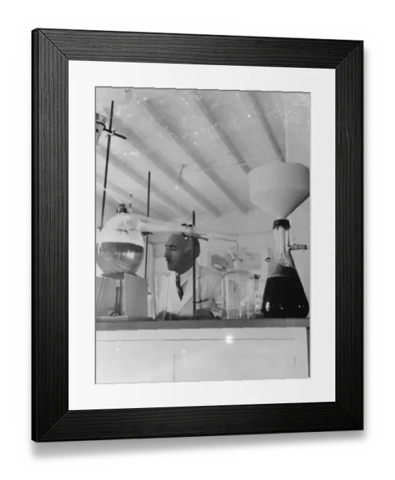 Framed Print : Dr A T Frascati an American scientist. Making perfume from crushed fruit. Photo shows Framed Print : Dr A T Frascati an American scientist. Making perfume from crushed fruit. Photo shows