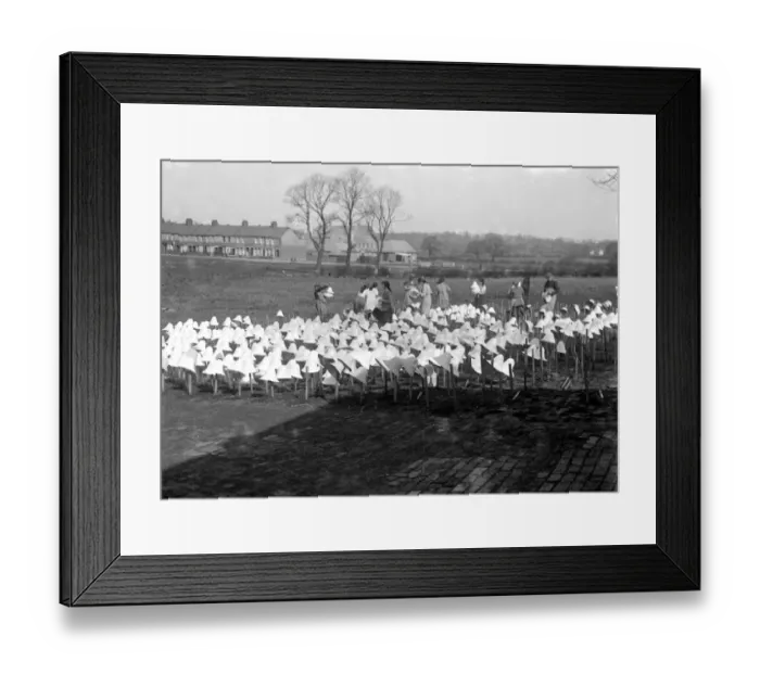 Framed Print : Panama Hat making at Messrs I. Cambis at Boreham Wood, Elstree. Bleached hats