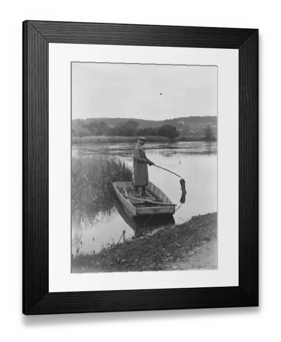 Framed Print : Eel fishing on the Hampshire river Avon 18 August 1920 Framed Print : Eel fishing on the Hampshire river Avon 18 August 1920