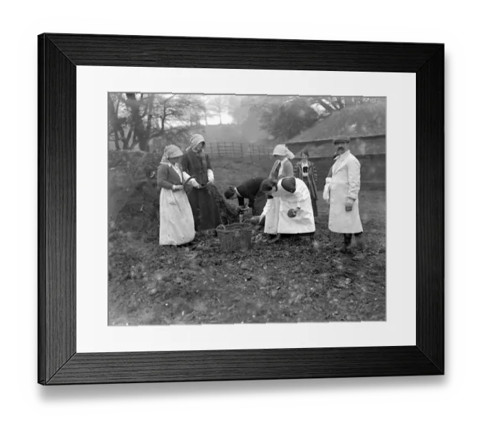 Framed Print : Women farm workers at Sparsholt, Hampshire. 1914-1918 Framed Print : Women farm workers at Sparsholt, Hampshire. 1914-1918