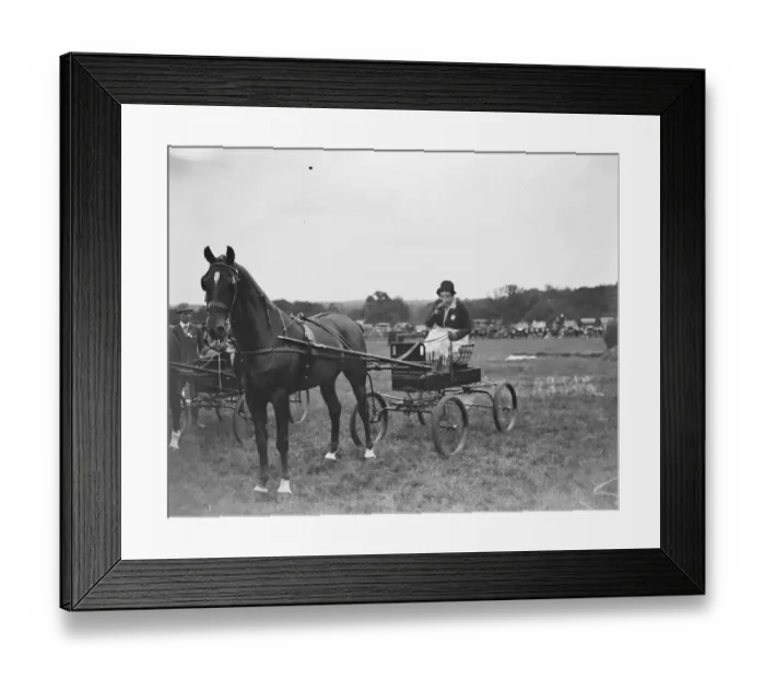 Framed Print : Westerham Hill Horse Show Mrs Raymond Phillips 1928 9 July 1926 Framed Print : Westerham Hill Horse Show Mrs Raymond Phillips 1928 9 July 1926