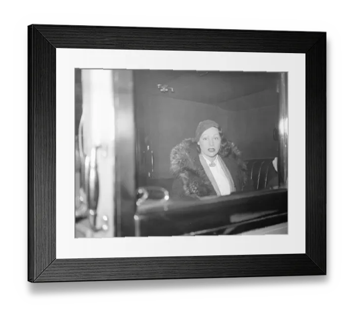 Framed Print : Mrs Self returns to London. Brings hom to Mr Lambtons dog after Red Sea tragedy Framed Print : Mrs Self returns to London. Brings hom to Mr Lambtons dog after Red Sea tragedy