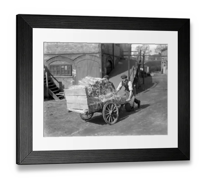 Framed Print : Panama Hat making at Messrs I. Cambis at Boreham Wood, Elstree. 1922 Framed Print : Panama Hat making at Messrs I. Cambis at Boreham Wood, Elstree. 1922