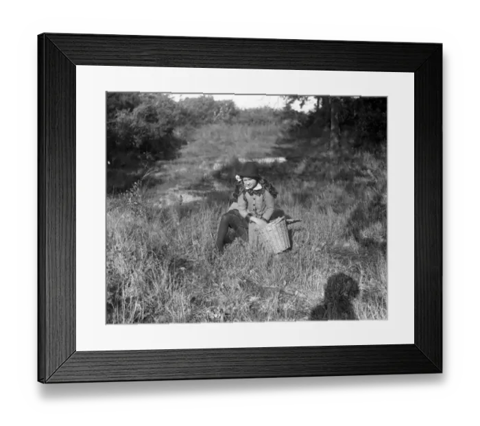 Framed Print : A young girl collecting acorns for feeding pigs and sheep. 31 October 1916 Framed Print : A young girl collecting acorns for feeding pigs and sheep. 31 October 1916