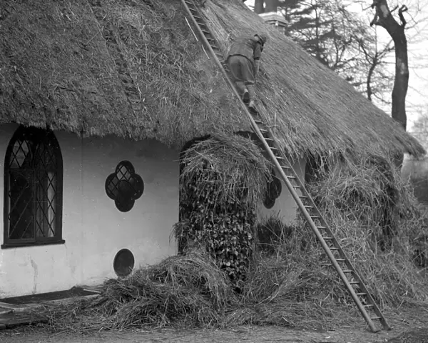 Thatching the roof of the Hermitage headquarters of the Selboorne Society at Hanwell