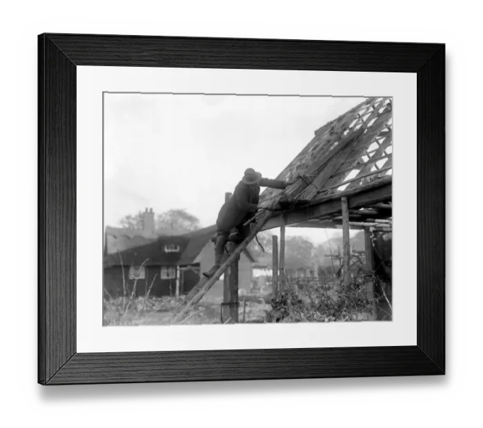 Framed Print : Reed Thatching in Norfolk. Mr R. W. Farman, of North Walsham, The last working Framed Print : Reed Thatching in Norfolk. Mr R. W. Farman, of North Walsham, The last working