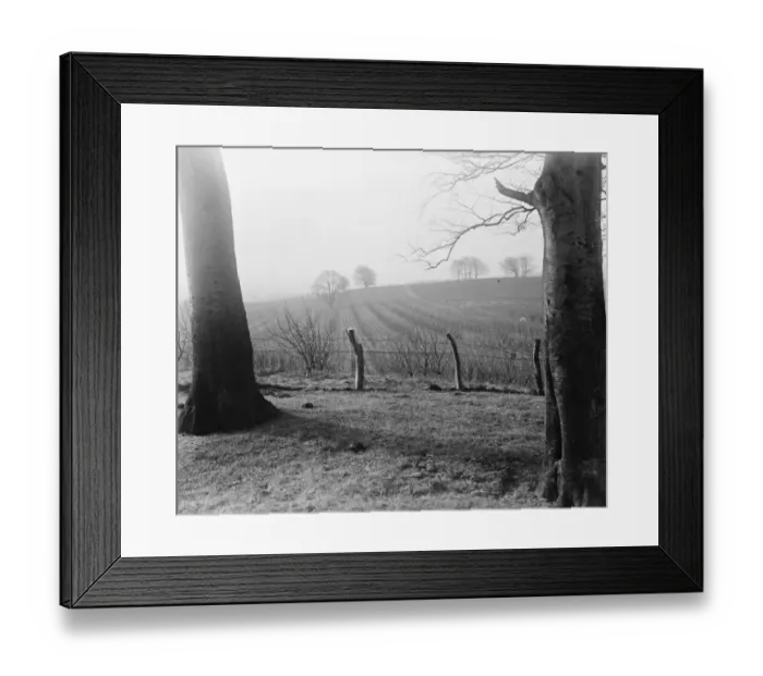 Framed Print : Toddington Fruit Farm Plantation, Bedfordshire 1918 Framed Print : Toddington Fruit Farm Plantation, Bedfordshire 1918