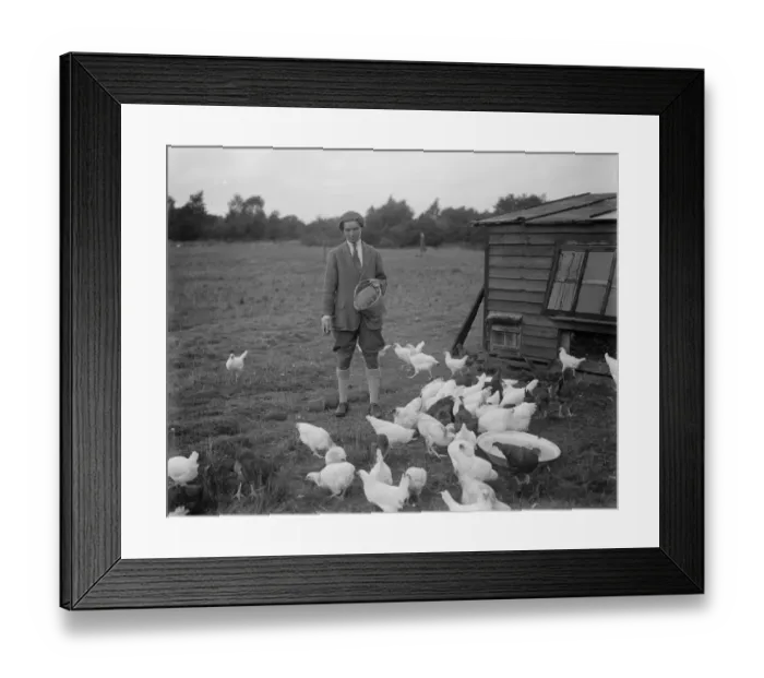 Framed Print : Miss Foster winner of Kings prize at Bisley at home of her chicken farm. 21 July 1930 Framed Print : Miss Foster winner of Kings prize at Bisley at home of her chicken farm. 21 July 1930