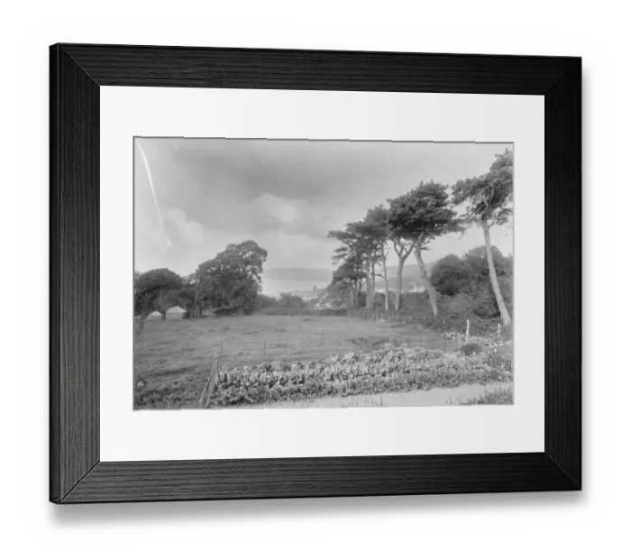 Framed Print : Lyme Regis. 1925