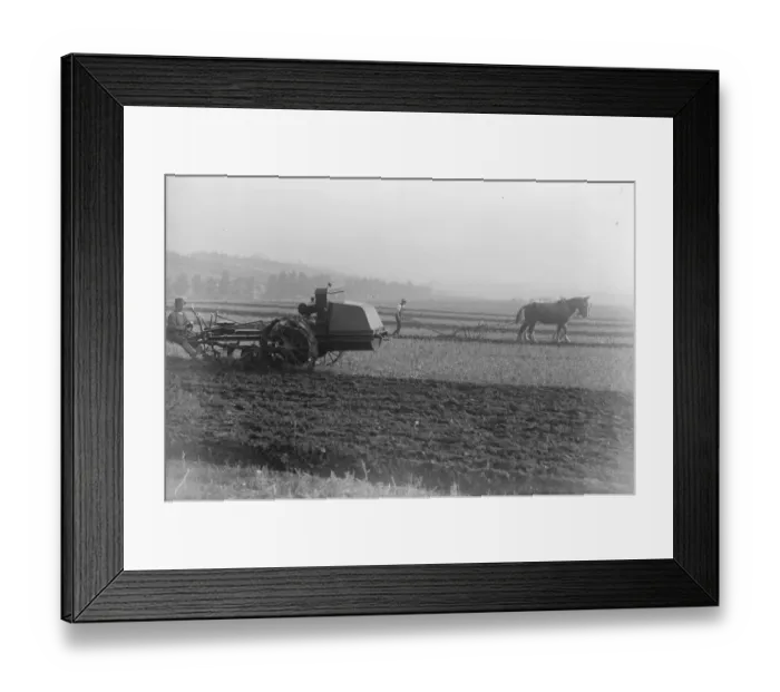Framed Print : Ancient and modern, horse and motor ploughs at Henley Show. There were numerous Framed Print : Ancient and modern, horse and motor ploughs at Henley Show. There were numerous