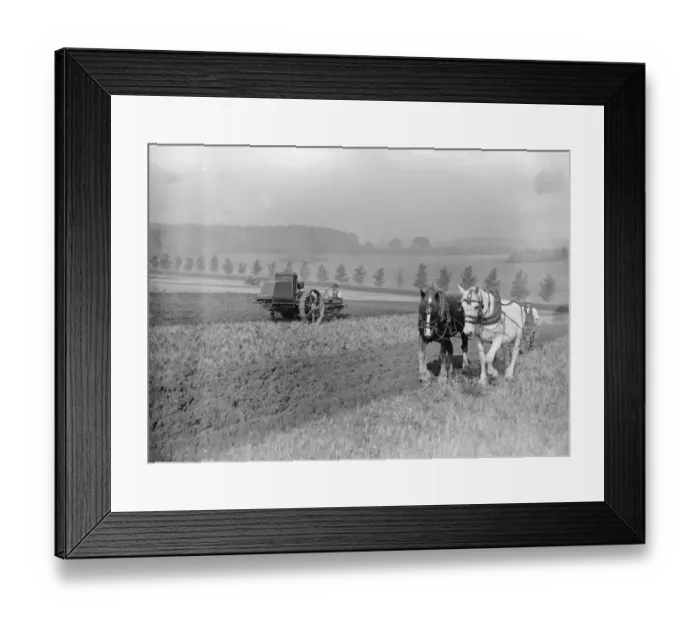 Framed Print : Ancient and modern, horse and motor ploughs at Henley Show. There were numerous Framed Print : Ancient and modern, horse and motor ploughs at Henley Show. There were numerous