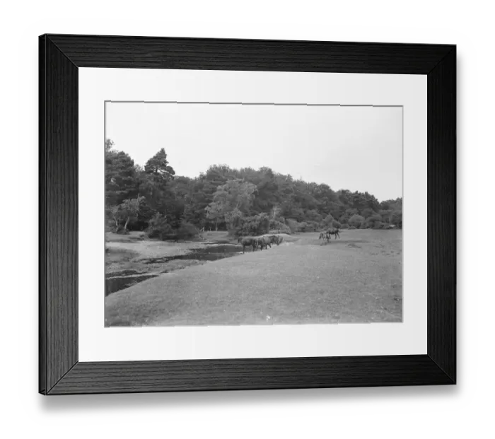 Framed Print : Brockenhurst. 1925