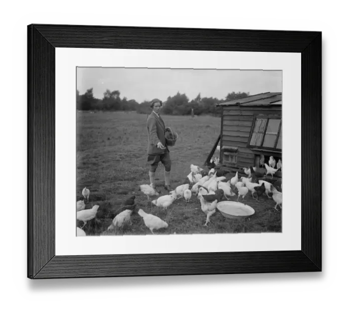 Framed Print : Miss Foster winner of Kings prize at Bisley at home of her chicken farm. 21 July 1930 Framed Print : Miss Foster winner of Kings prize at Bisley at home of her chicken farm. 21 July 1930