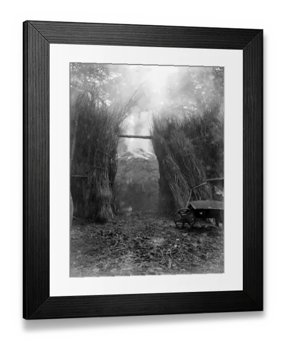 Framed Print : Charcoal burning for the trenches in the New Forest Framed Print : Charcoal burning for the trenches in the New Forest