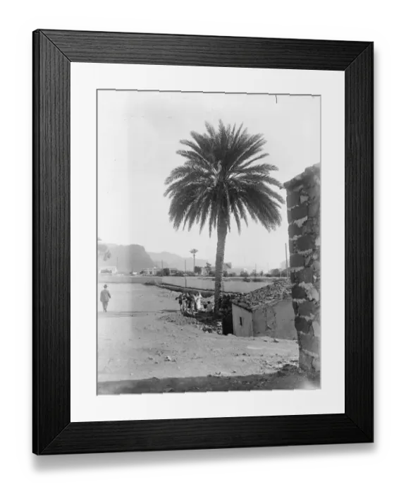 Framed Print : Nobody Wants Ascension Island An isolated volcanic island in the equatorial waters