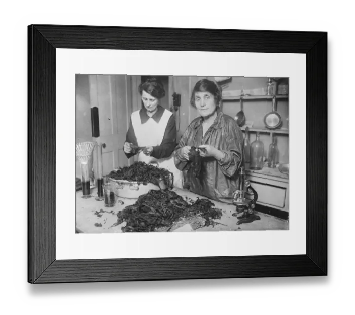 Framed Print : A womans invention The claim of Mrs Maud Dickenson to have discovered a new process Framed Print : A womans invention The claim of Mrs Maud Dickenson to have discovered a new process