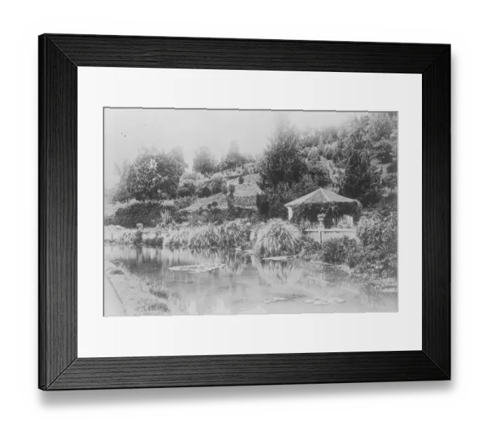 Framed Print : The Moplah Rising in India Grave anxiety has been caused by the development of Framed Print : The Moplah Rising in India Grave anxiety has been caused by the development of
