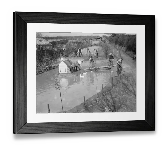 Framed Print : The duck pond at Chailey 25 March 1920