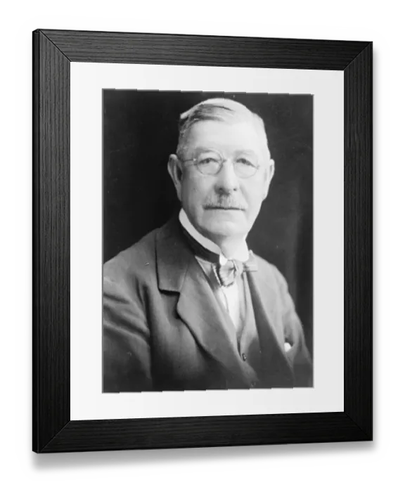 Framed Print : Holland Division by election. Mr Arthur Wellesley Dean, of Carlton Scroop Manor Framed Print : Holland Division by election. Mr Arthur Wellesley Dean, of Carlton Scroop Manor